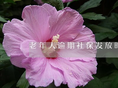 老年人逾期社保发放时间 老年人逾期社保发放时间
