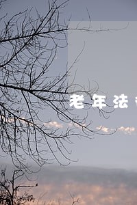 老年法律援助热线