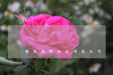 老年离婚协议书怎么写 老年离婚协议书怎么写