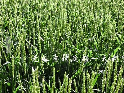 老张有钱逾期一天利息6 老张有钱逾期一天利息6