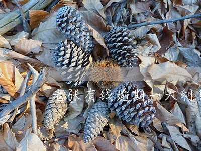 老张有钱逾期一天利息多少6 老张有钱逾期一天利息多少6