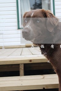 老张有钱逾期上门吗 老张有钱逾期上门吗