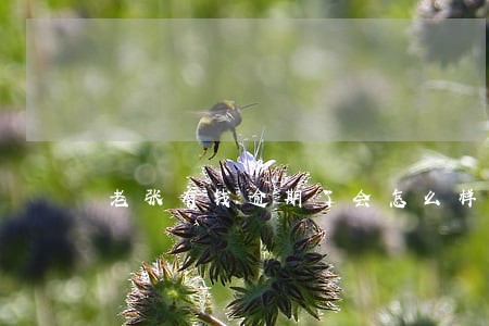 老张有钱逾期了会怎么样 老张有钱逾期了会怎么样