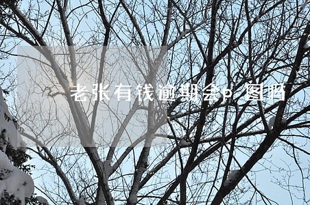 老张有钱逾期会p图吗 老张有钱逾期会p图吗