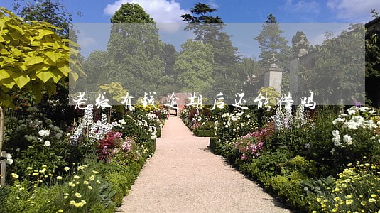 老张有钱逾期后还能借吗