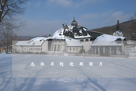 老张有钱逾期图片 老张有钱逾期图片