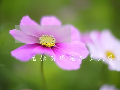 老张有钱逾期多久爆通讯录 老张有钱逾期多久爆通讯录