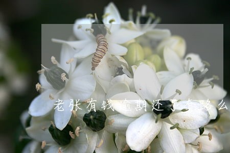 老张有钱逾期还了套路么 老张有钱逾期还了套路么