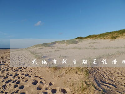 老张有钱逾期还能借吗 老张有钱逾期还能借吗
