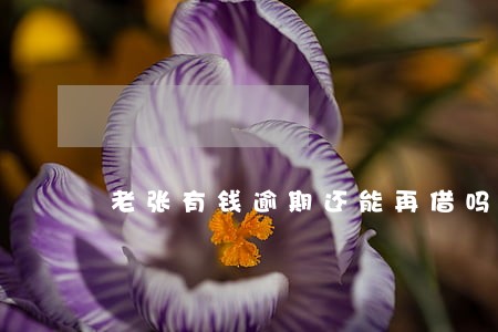 老张有钱逾期还能再借吗 老张有钱逾期还能再借吗