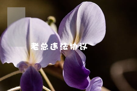 老总违法协议 老总违法协议
