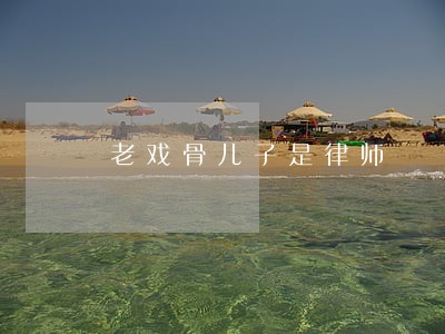 老戏骨儿子是律师