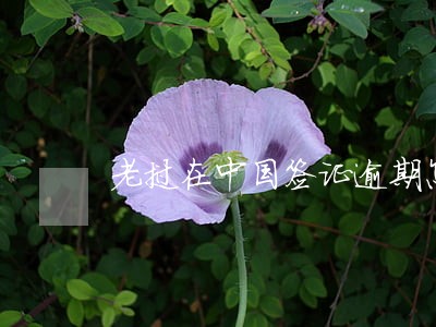 老挝在中国签证逾期怎么办 老挝在中国签证逾期怎么办
