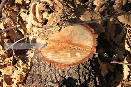 老挝签证逾期了怎么办 老挝签证逾期了怎么办