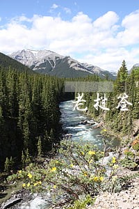 老挝签证逾期直接回国 老挝签证逾期直接回国