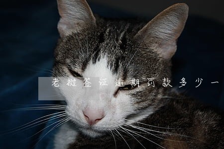 老挝签证逾期罚款多少一逾 老挝签证逾期罚款多少一逾