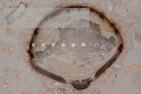老挝贷款逾期 老挝贷款逾期