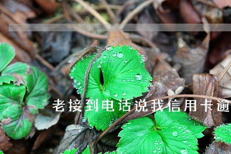 老接到电话说我信用卡逾期了 老接到电话说我信用卡逾期了