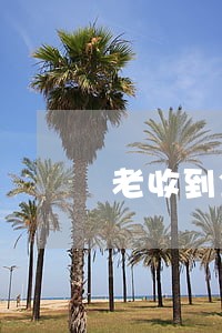 老收到金融贷款逾期信息 老收到金融贷款逾期信息
