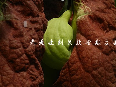 老是收到欠款逾期立案的短信 老是收到欠款逾期立案的短信