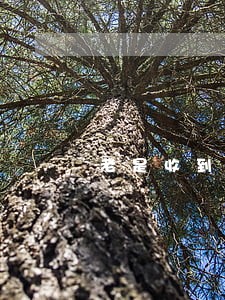 老是收到美团网逾期短信