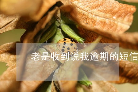老是收到说我逾期的短信 老是收到说我逾期的短信