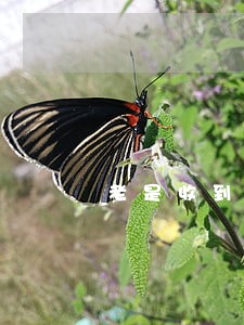 老是收到逾期短信 老是收到逾期短信