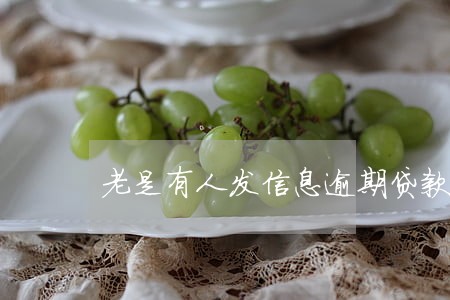 老是有人发信息逾期贷款 老是有人发信息逾期贷款