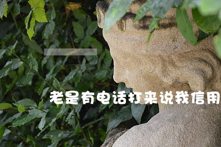 老是有电话打来说我信用卡逾期 老是有电话打来说我信用卡逾期