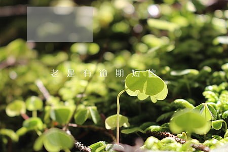 老是有逾期短信 老是有逾期短信