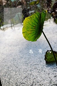 老有人发短信说我网贷逾期