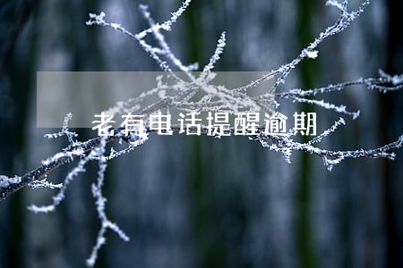 老有电话提醒逾期 老有电话提醒逾期