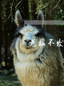 老板不发绩效工资违法吗 老板不发绩效工资违法吗