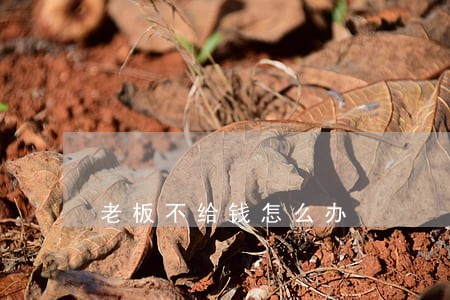 老板不给钱怎么办 老板不给钱怎么办