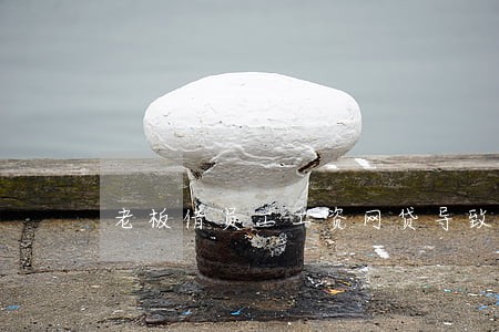 老板借员工工资网贷导致逾期 老板借员工工资网贷导致逾期
