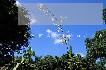 老板做的生意违法用财务的卡 老板做的生意违法用财务的卡