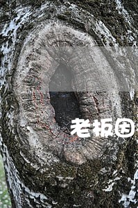 老板因拖欠工资导致花呗逾期 老板因拖欠工资导致花呗逾期