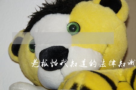老板怕我知道的法律知识是什么呢 老板怕我知道的法律知识是什么呢