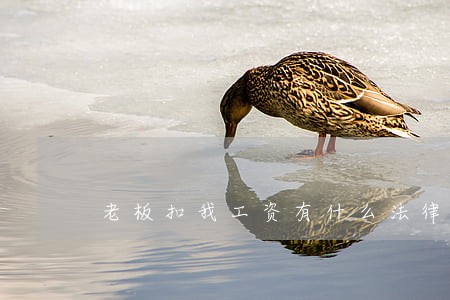 老板扣我工资有什么法律援助
