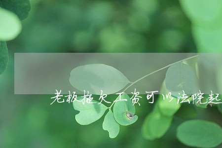 老板拖欠工资可以法院起诉吗