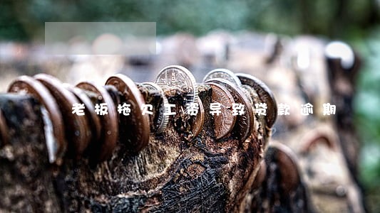 老板拖欠工资导致贷款逾期 老板拖欠工资导致贷款逾期