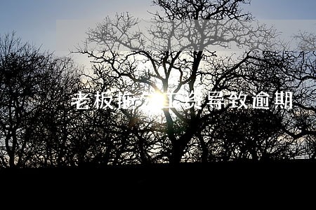 老板拖欠工资导致逾期 老板拖欠工资导致逾期