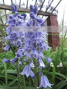 老板更亲耐律师 老板更亲耐律师