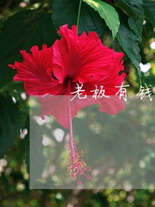老板有钱贷款逾期一天多少钱 老板有钱贷款逾期一天多少钱