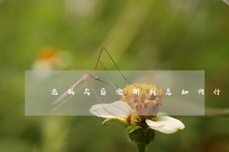 老板欠薪逾期利息如何计算 老板欠薪逾期利息如何计算
