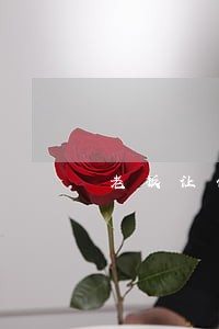 老板让做采购公章违法吗 老板让做采购公章违法吗