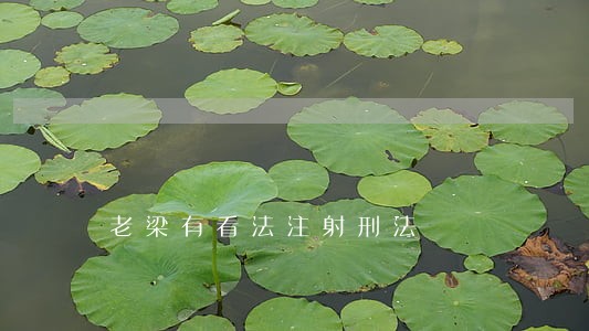 老梁有看法注射刑法
