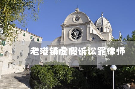 老港镇虚假诉讼罪律师
