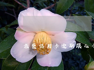 老爸信用卡逾期跟儿子有关系吗 老爸信用卡逾期跟儿子有关系吗