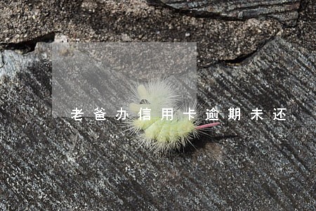 老爸办信用卡逾期未还 老爸办信用卡逾期未还